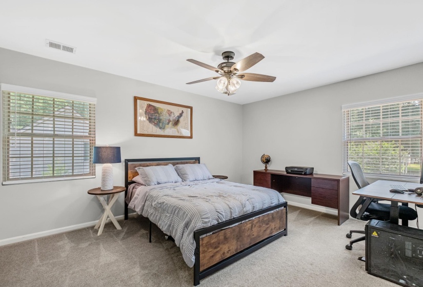 Carpeted room with light gray walls and two windows fitted with horizontal blinds