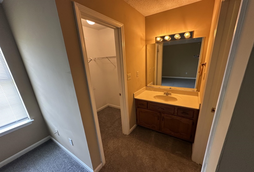 Vanity with a built-in sink, wood-finish cabinetry, and a large mirror with a four-bulb light fixture