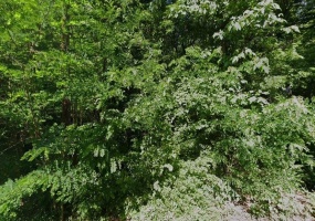 1740 DODD RD, Memphis, Tennessee 38109, ,Land,For Sale,DODD,10212380