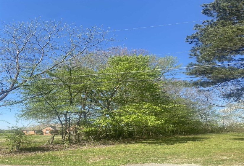 8285 BRUNSWICK RD, Unincorporated, Tennessee 38053, 0 , 0 ,0,Land,For Sale,BRUNSWICK,0,10213122
