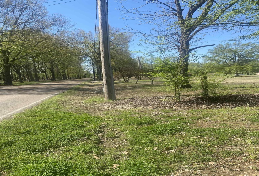 8285 BRUNSWICK RD, Unincorporated, Tennessee 38053, 0 , 0 ,0,Land,For Sale,BRUNSWICK,0,10213122
