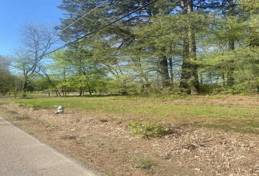 8285 BRUNSWICK RD, Unincorporated, Tennessee 38053, 0 , 0 ,0,Land,For Sale,BRUNSWICK,0,10213122