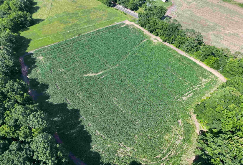 00 VAN BUREN RD. RD, Hickory Valley, Tennessee 38042, ,Land,For Sale,VAN BUREN RD.,10225029