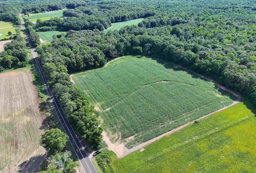 This aerial photograph shows a large cultivated field surrounded on three sides by dense, mature woods. A paved two-lane road runs along the Eastern edge of the property, with an entrance leading onto the property.
