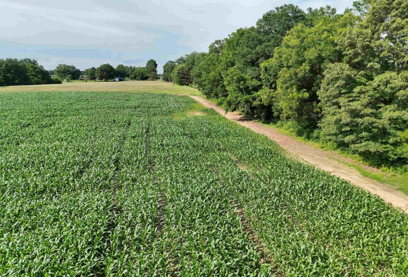 00 VAN BUREN RD. RD, Hickory Valley, Tennessee 38042, ,Land,For Sale,VAN BUREN RD.,10225029