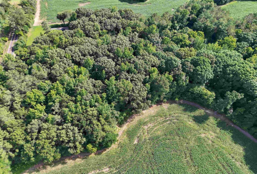 00 VAN BUREN RD. RD, Hickory Valley, Tennessee 38042, ,Land,For Sale,VAN BUREN RD.,10225029