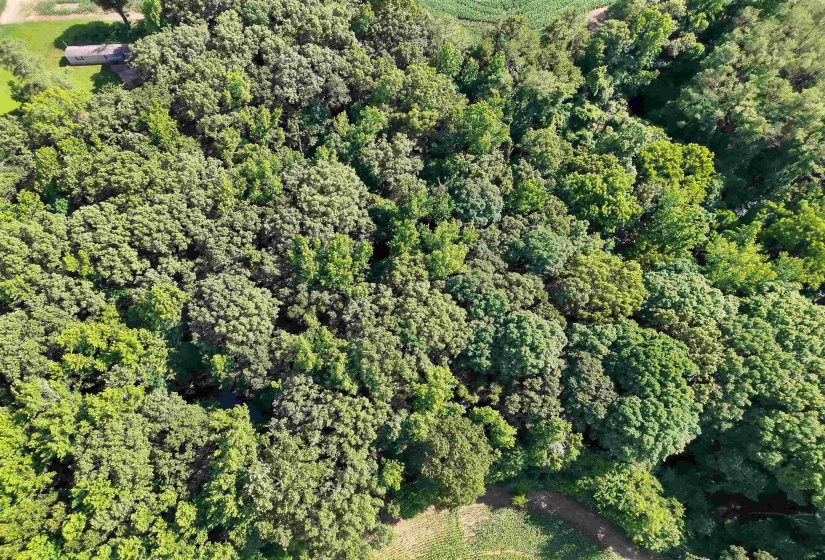00 VAN BUREN RD. RD, Hickory Valley, Tennessee 38042, ,Land,For Sale,VAN BUREN RD.,10225029