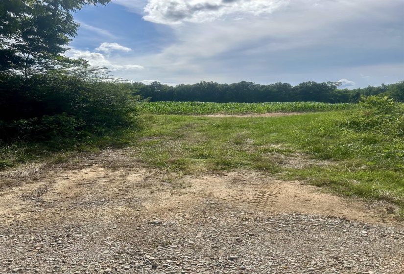 00 VAN BUREN RD. RD, Hickory Valley, Tennessee 38042, ,Land,For Sale,VAN BUREN RD.,10225029