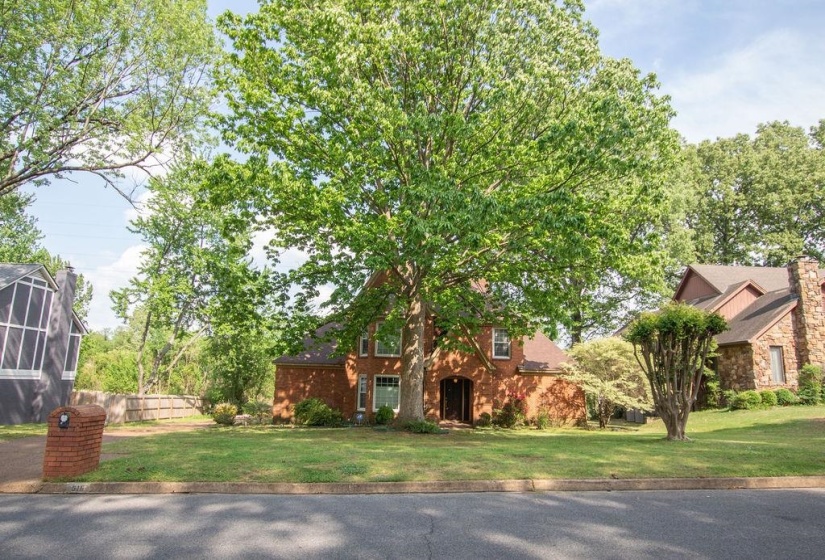 516 JASON RD, Memphis, Tennessee 38120, 4 Bedrooms Bedrooms, 9 Rooms Rooms,2.1 BathroomsBathrooms,Residential,For Sale,JASON,10225003