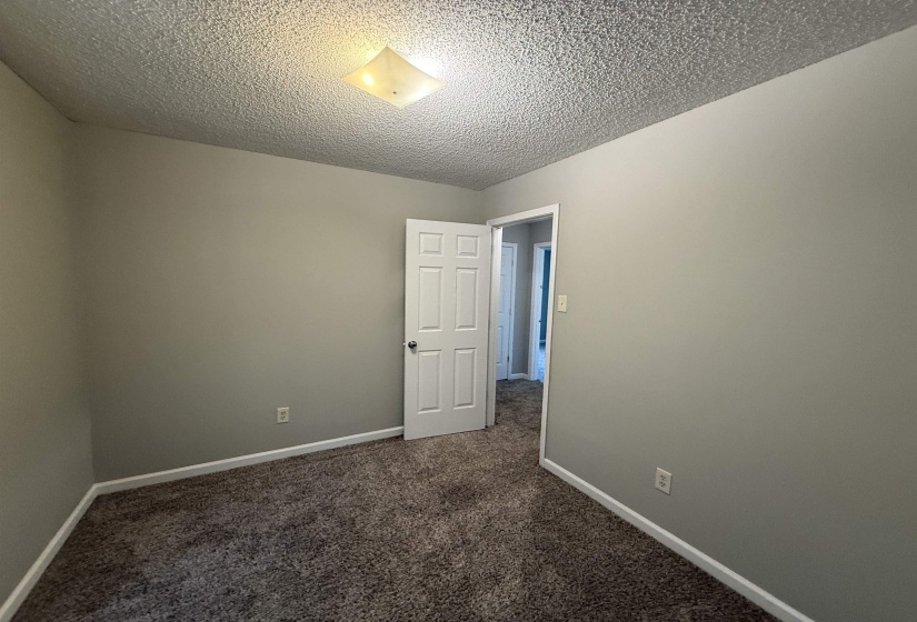 Neutral gray wall paint with white trim, complementing the textured carpet flooring