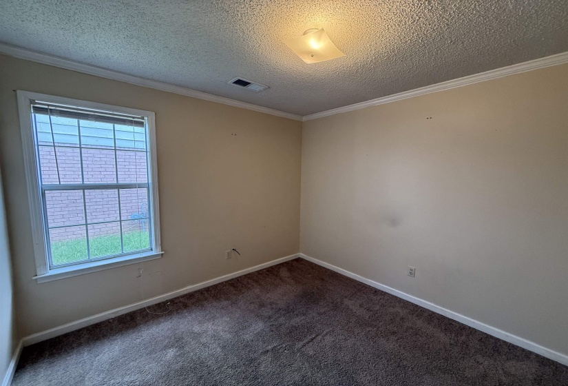 Carpeted interior room featuring a double-hung window with white trim, tan wall paint, white crown molding, and a textured ceiling with a flush-mount light fixture