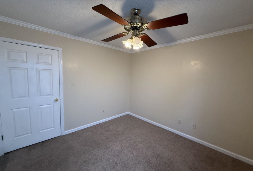Room featuring neutral wall tones, crown molding, and carpeted flooring