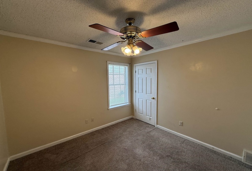 Carpeted room with a ceiling fan light fixture, baseboard trim, and crown molding