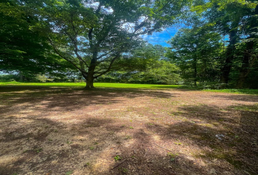 Expansive land parcel featuring mature trees, partial lawn, and natural surroundings
