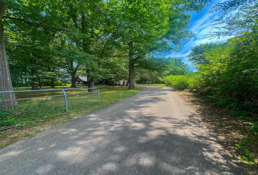 Paved path bordered by mature trees and lush foliage
