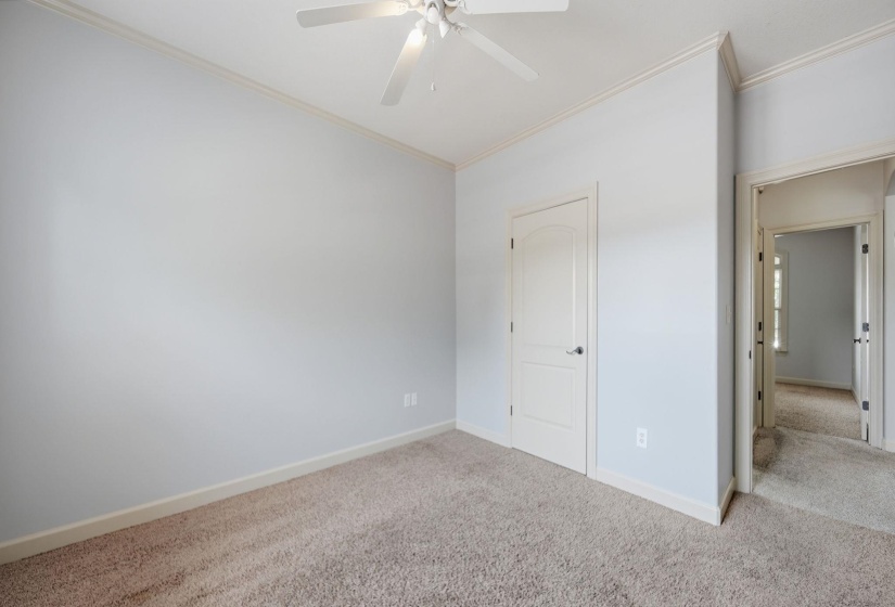 Carpeted room featuring a ceiling fan, crown molding, and baseboards