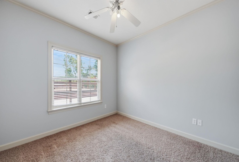 Carpeted room featuring a ceiling fan, crown molding, and a double window with blinds