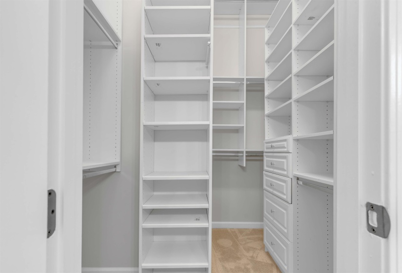 Walk-in closet featuring white built-in shelving, multiple hanging rods, integrated drawers, and neutral carpeting