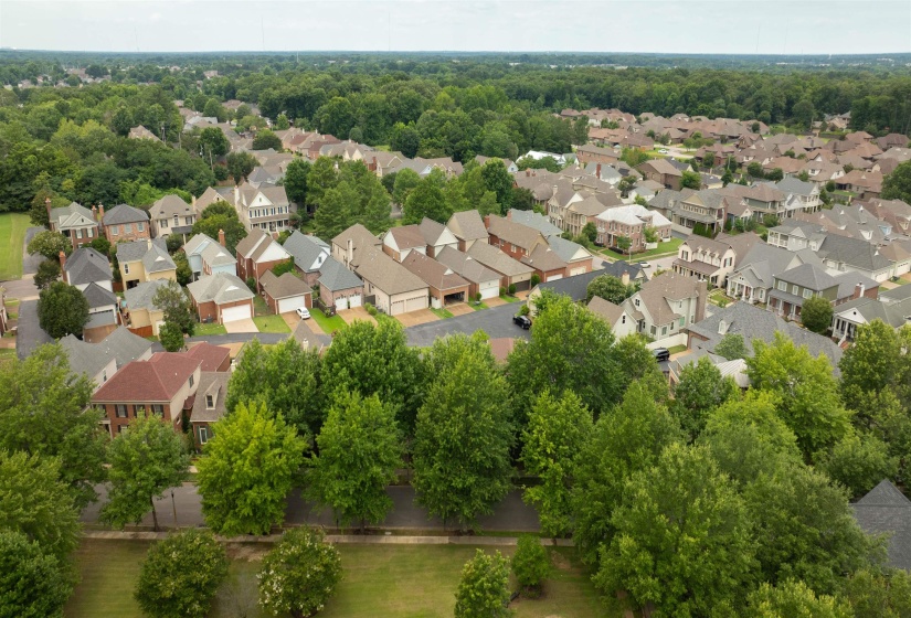 Expansive neighborhood featuring a variety of architectural styles, mature trees, manicured landscaping, and individual properties with attached garages