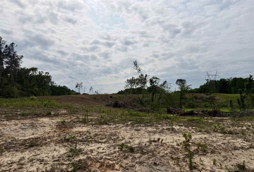 0 DEE MOORE RD, Selmer, Tennessee 38375, ,Land,For Sale,DEE MOORE,10225095