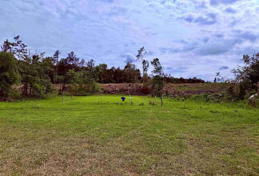 0 DEE MOORE RD, Selmer, Tennessee 38375, ,Land,For Sale,DEE MOORE,10225095