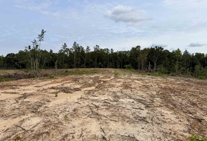 0 DEE MOORE RD, Selmer, Tennessee 38375, ,Land,For Sale,DEE MOORE,10225095