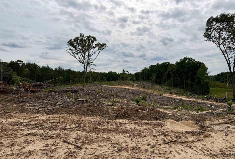 0 DEE MOORE RD, Selmer, Tennessee 38375, ,Land,For Sale,DEE MOORE,10225095