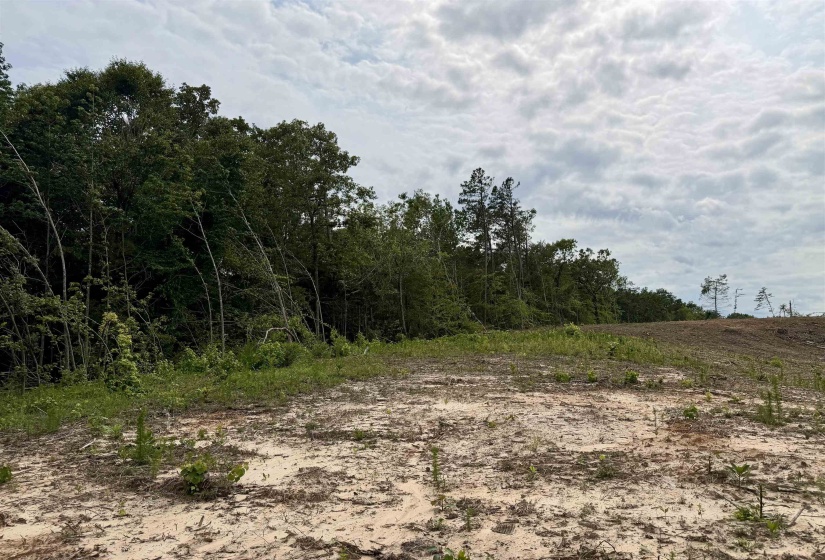 0 DEE MOORE RD, Selmer, Tennessee 38375, ,Land,For Sale,DEE MOORE,10225095