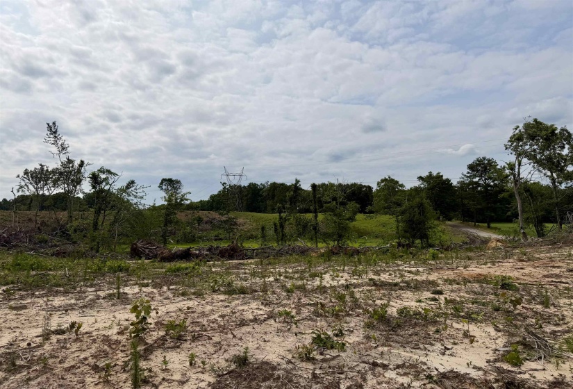 0 DEE MOORE RD, Selmer, Tennessee 38375, ,Land,For Sale,DEE MOORE,10225095