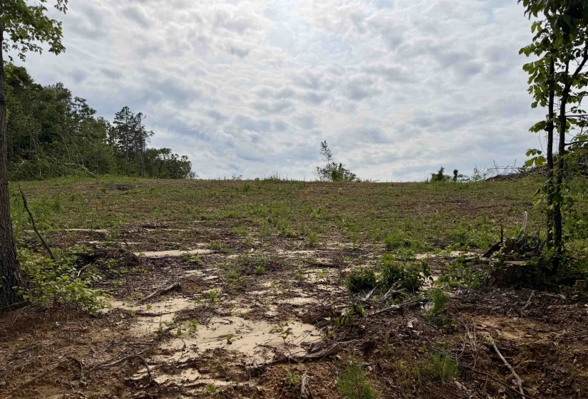 0 DEE MOORE RD, Selmer, Tennessee 38375, ,Land,For Sale,DEE MOORE,10225095