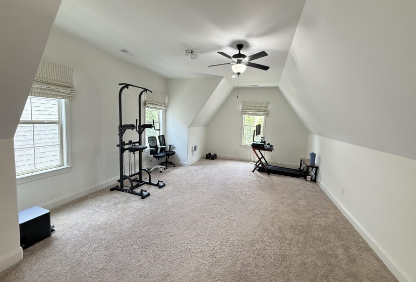 Exercise room featuring ceiling fan, carpet flooring, and vaulted ceiling