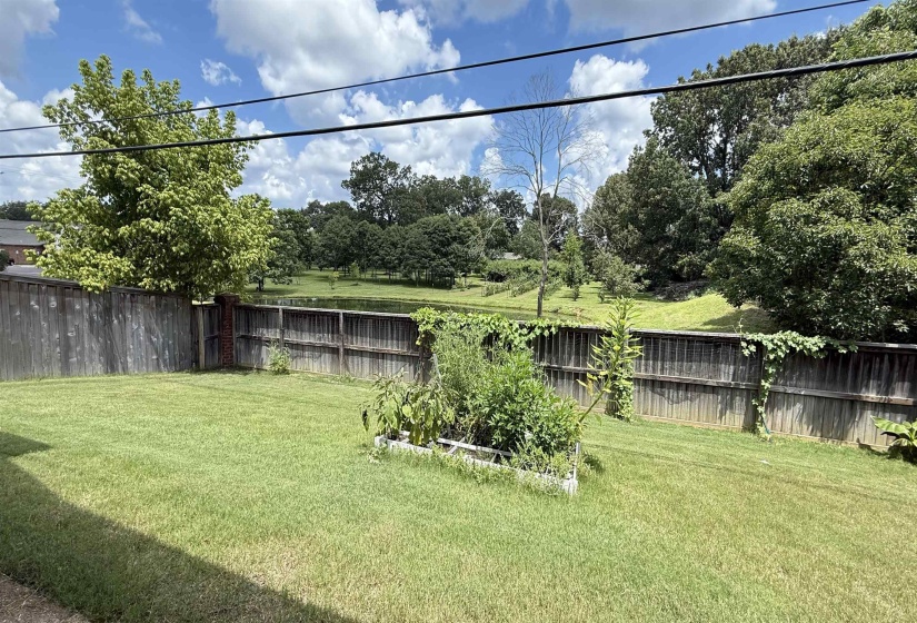 View of fenced backyard