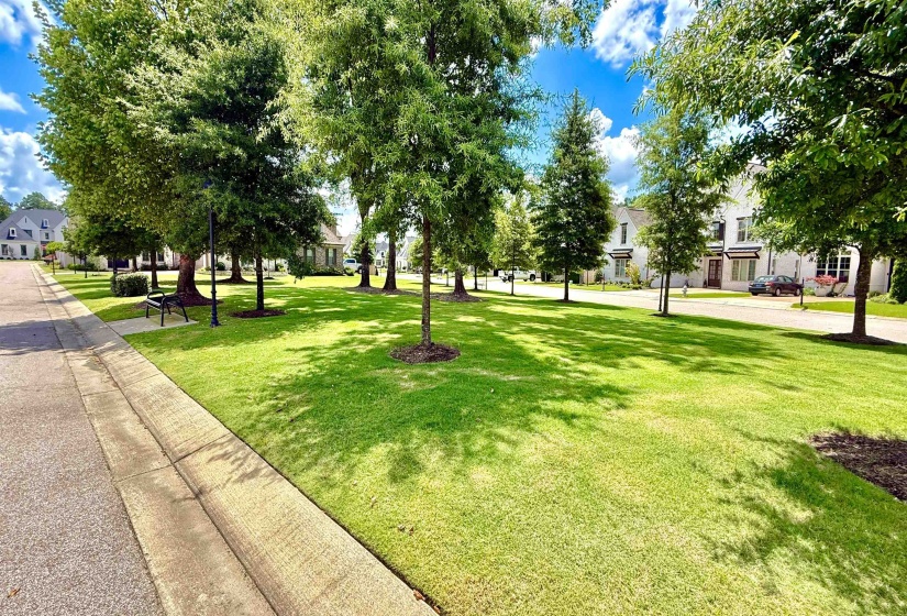 View of property's community featuring a lawn