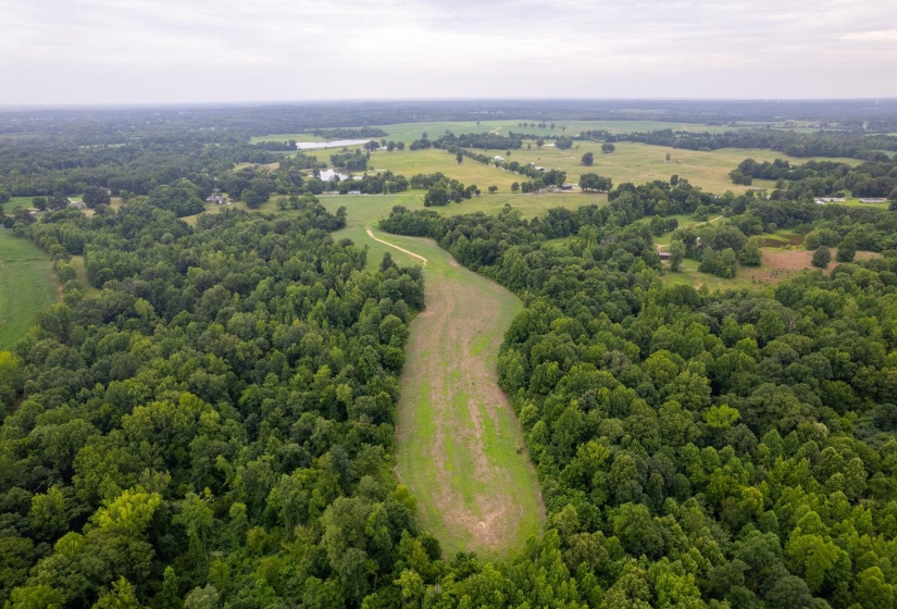 2990 CURVE WOODVILLE RD, Ripley, Tennessee 38063, 3 Bedrooms Bedrooms, 6 Rooms Rooms,2 BathroomsBathrooms,Residential,For Sale,CURVE WOODVILLE,10225075