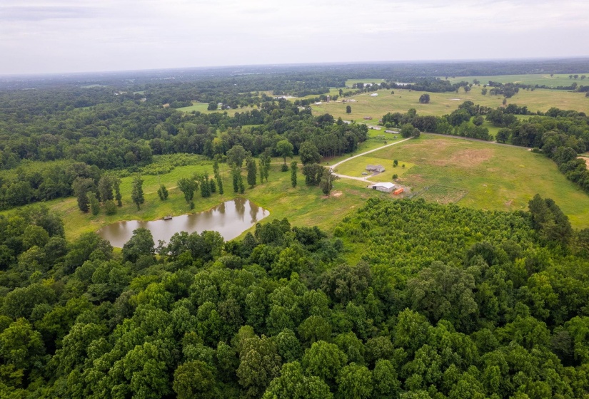 2990 CURVE WOODVILLE RD, Ripley, Tennessee 38063, 3 Bedrooms Bedrooms, 6 Rooms Rooms,2 BathroomsBathrooms,Residential,For Sale,CURVE WOODVILLE,10225075