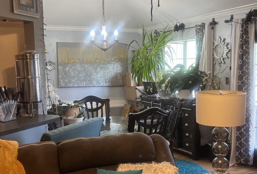 Dining area featuring a classic chandelier, crown molding, and large windows with privacy drapery