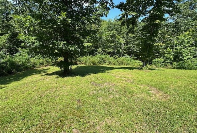 2082 AIRPORT RIDGE RD, Linden, Tennessee 37096, 3 Bedrooms Bedrooms, 7 Rooms Rooms,2 BathroomsBathrooms,Residential,For Sale,AIRPORT RIDGE,10225085