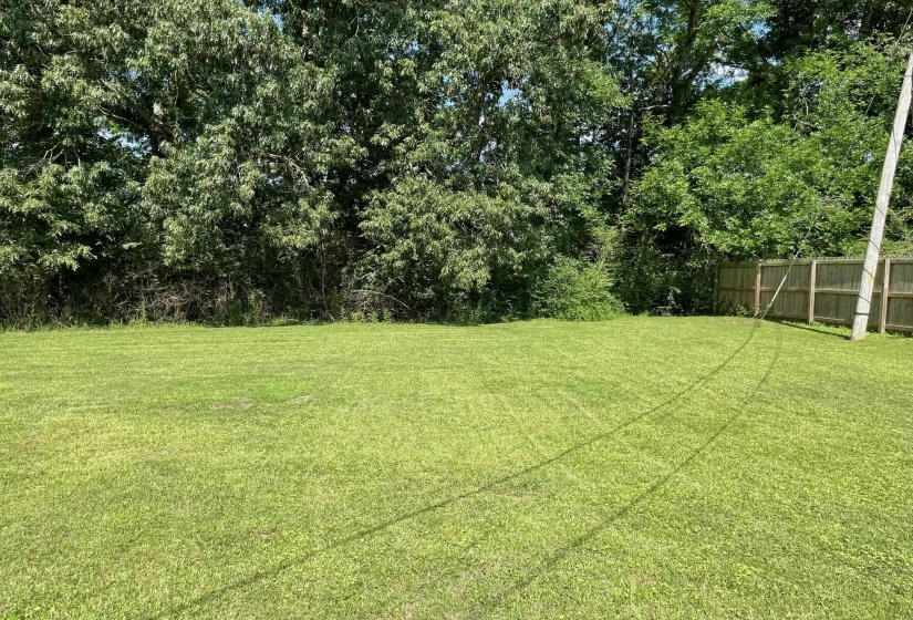 110 ROSE STREET EXT, Middleton, Tennessee 38052-3517, 3 Bedrooms Bedrooms, 8 Rooms Rooms,2 BathroomsBathrooms,Residential,For Sale,ROSE STREET,10225091