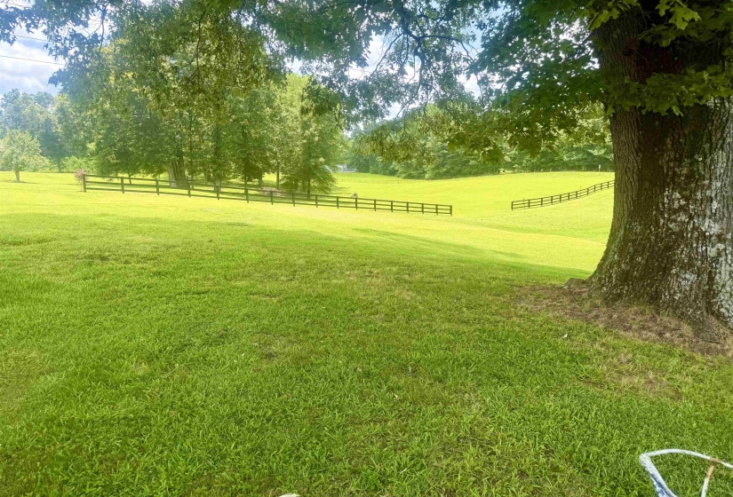 Expansive green acreage featuring a substantial mature tree, rolling topography, and dark-stained fencing