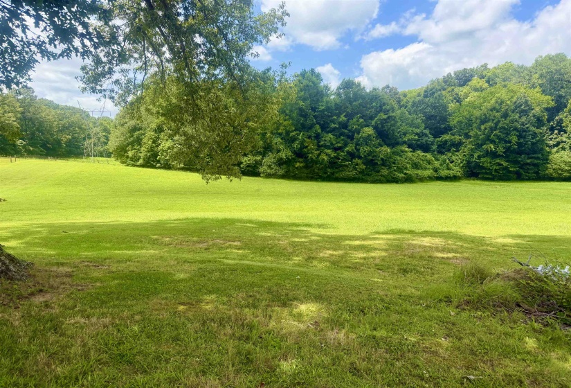 Expansive green lawn surrounded by mature trees