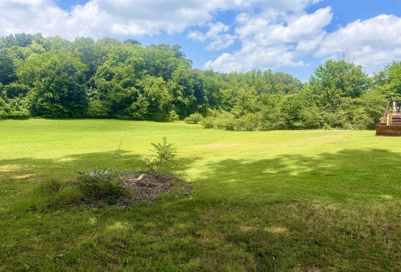 Expansive green lawn with a tree line border