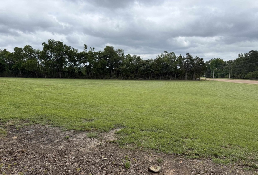 64 HWY, Adamsville, Tennessee 38310, ,Land,For Sale,64,10225117