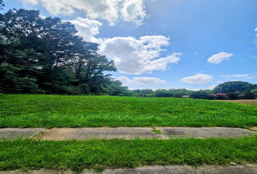 3563 BOXTOWN RD, Memphis, Tennessee 38109, 0 , 0 ,0,Land,For Sale,BOXTOWN,0,10225146