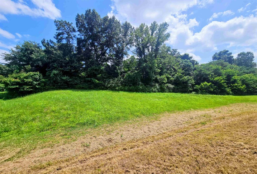 3563 BOXTOWN RD, Memphis, Tennessee 38109, 0 , 0 ,0,Land,For Sale,BOXTOWN,0,10225146