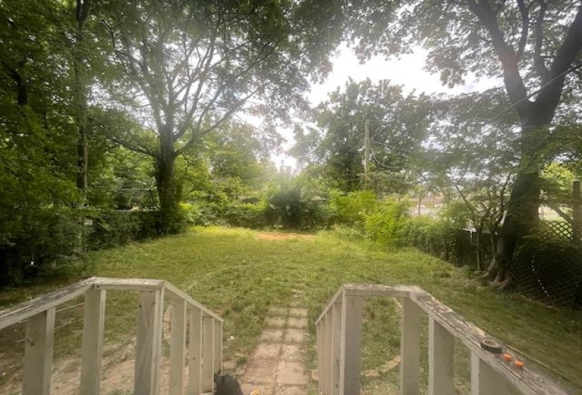 View of green lawn