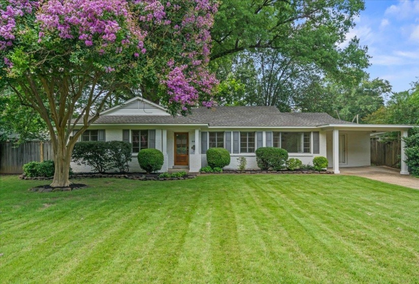 Traditional single-story residence featuring a white painted brick exterior, dark shutters, and a wood-paneled front door