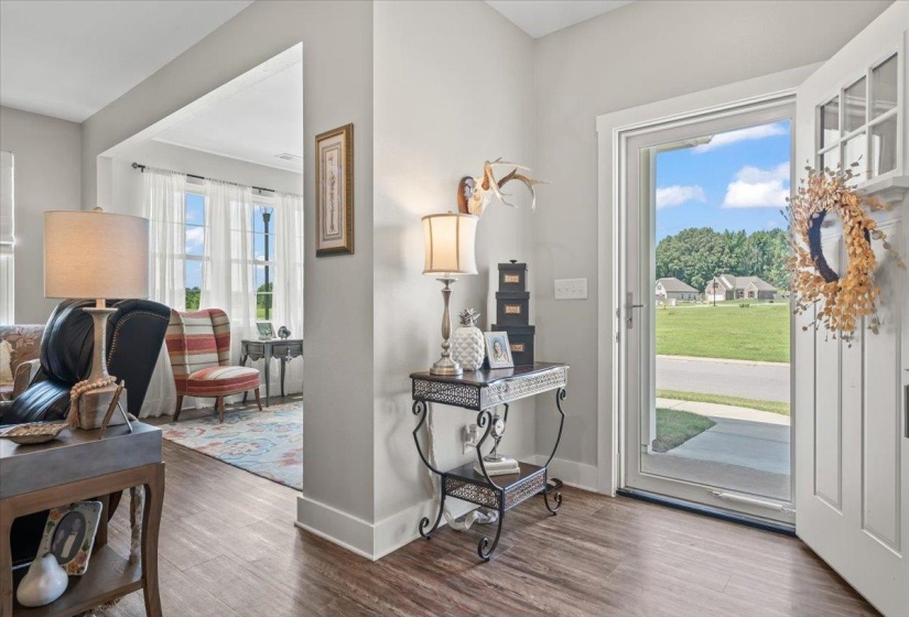 Entryway featuring wood-finish flooring, crisp white trim, and light gray wall paint