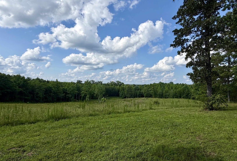 Expansive grassy field with a backdrop of dense trees under a partly cloudy sky