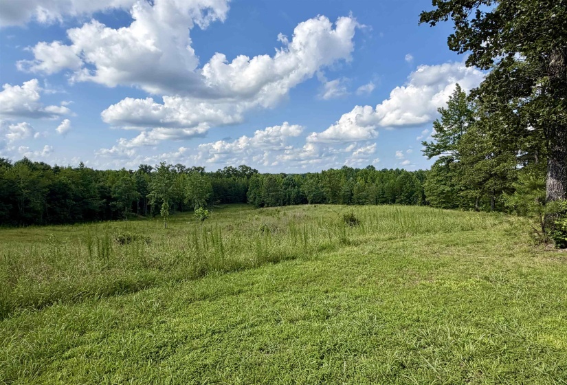 Expansive grass-covered terrain featuring a verdant tree line bordering the property