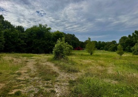 10 +/- ACRES EGYPT-CENTRAL RD, Unincorporated, Tennessee 38128, ,Land,For Sale,EGYPT-CENTRAL,10225177